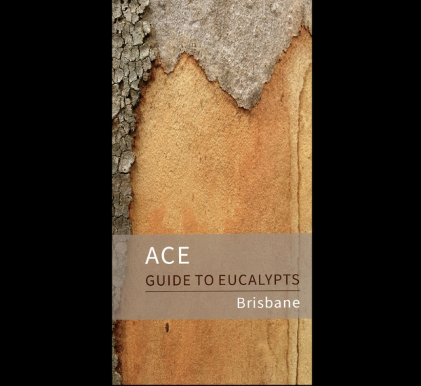 Ace Guide to Eucalypts