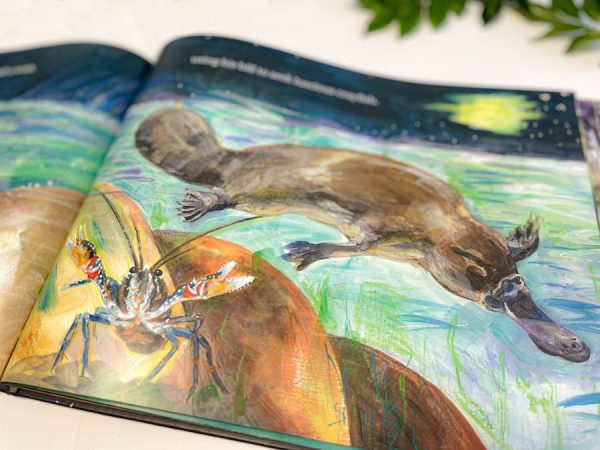 Snuggled Away - children's storytime hardcover book