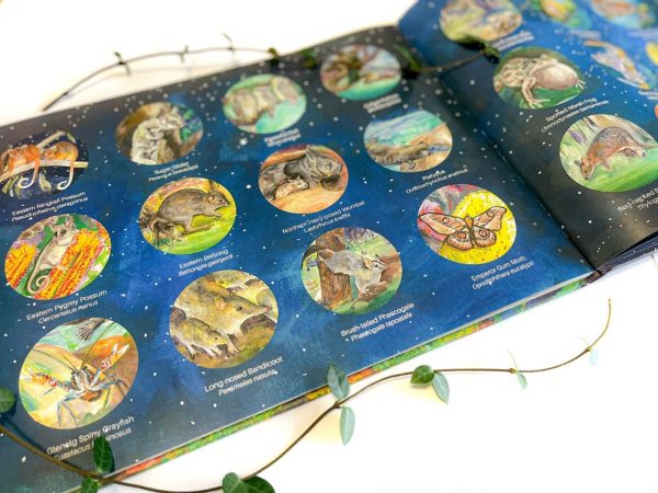 Snuggled Away - children's storytime hardcover book